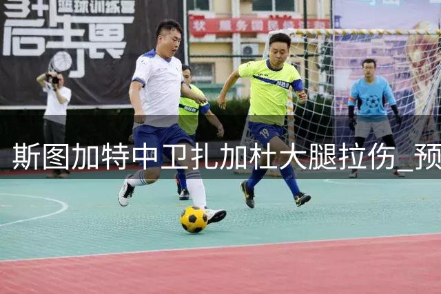斯图加特中卫扎加杜大腿拉伤 预计休战数周